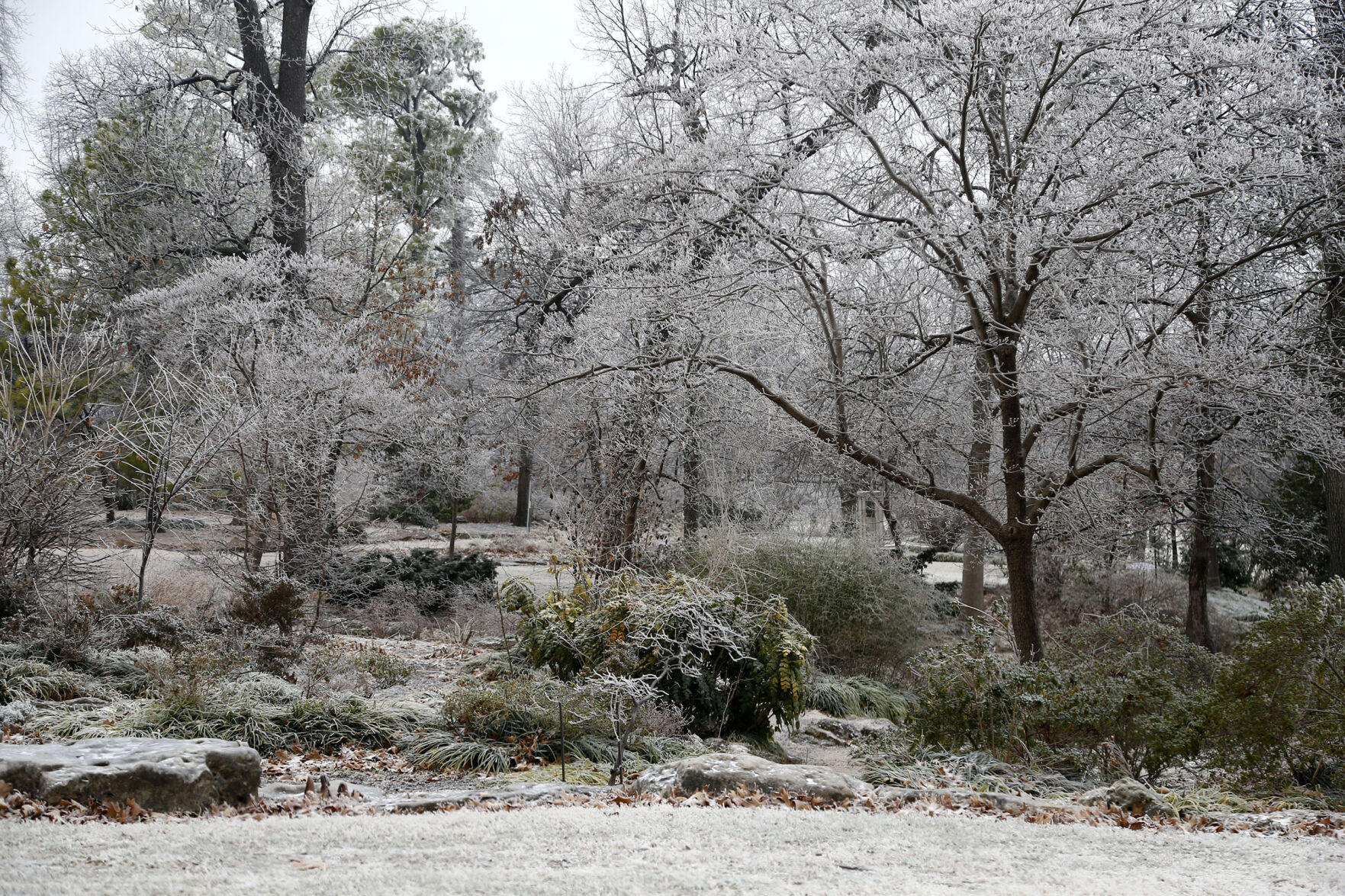 Frost Features